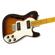 Fender Telecaster Thinline Delux: Picture 4 thumbnail