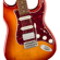 Fender Classic Vibe '60s Strat: Picture 3 thumbnail
