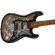 Fender Brad Paisley Stratocaster: Picture 3 thumbnail