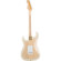 Fender Richie Kotzen: Picture 2 thumbnail