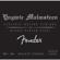 Fender Guitar Strings: Picture 3 thumbnail