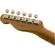 Fender LTD Reverse Custom: Picture 5 thumbnail