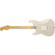 Fender Postmodern Stratocaster: Picture 1 thumbnail
