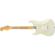 Fender Postmodern Stratocaster: Picture 1 thumbnail