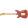 Fender Postmodern Stratocaster: Picture 1 thumbnail
