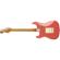 Fender LTD '60 Roasted: Picture 1 thumbnail