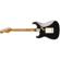 Fender LTD '60 Roasted: Picture 1 thumbnail
