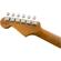 Fender LTD '60 Roasted: Picture 4 thumbnail
