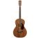 Fender PM-2: Picture 1 thumbnail
