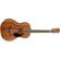 Fender PM-2: Picture 3 thumbnail