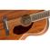 Fender PM-2: Picture 4 thumbnail
