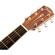 Fender PM-2: Picture 6 thumbnail