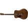 Fender PM-1: Picture 2 thumbnail