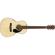 Fender CP-60S: Picture 1 thumbnail