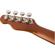 Fender Venice Soprano: Picture 6 thumbnail