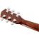 Fender CD-60S: Picture 7 thumbnail