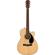 Fender CC-60SCE: Picture 1 thumbnail