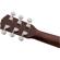 Fender CC-60SCE: Picture 6 thumbnail