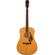 Fender PD-220E: Picture 1 thumbnail