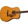 Fender PD-220E: Picture 5 thumbnail