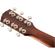 Fender Paramount PM-1 All-Mahogany Acous...: Picture 6 thumbnail