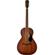 Fender PS-220E: Picture 1 thumbnail