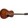 Fender PS-220E: Picture 4 thumbnail