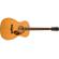 Fender PO-220E: Picture 2 thumbnail