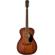 Fender PO-220E: Picture 1 thumbnail