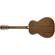 Fender Paramount PM-TE Standard Travel S...: Picture 1 thumbnail