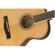 Fender Paramount PM-TE Standard Travel S...: Picture 3 thumbnail