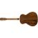 Fender Paramount PM-TE Travel All Mahoga...: Picture 1 thumbnail