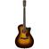 Fender PM-4CE Auditorium Limited: Picture 1 thumbnail