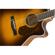 Fender PM-4CE Auditorium Limited: Picture 4 thumbnail