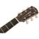 Fender PM-4CE Auditorium Limited: Picture 6 thumbnail
