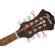 Fender PM-180E: Picture 5 thumbnail