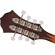 Fender PM-180E: Picture 6 thumbnail