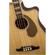 Fender Kingsman Bass SCE: Picture 2 thumbnail