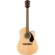 Fender FA-125CE: Picture 1 thumbnail