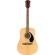 Fender FA-125: Picture 1 thumbnail