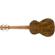 Fender Rincon Tenor: Picture 1 thumbnail