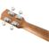 Fender Rincon Tenor: Picture 6 thumbnail
