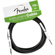 Fender Performance Series 10' Instrument...: Picture 1 thumbnail
