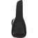 Fender FAS-620: Picture 1 thumbnail