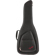 Fender FE1225: Picture 1 thumbnail