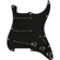 Fender Pre-Wired Pickguard: Picture 1 thumbnail