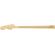 Fender Neck: Picture 1 thumbnail