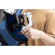 Feiyu SCORP Mini 2 3-Axis Handheld Gimba...: Picture 24 thumbnail