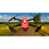 Firehouse Technology ARC "V": Picture 1 thumbnail