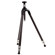 FLM CP30-L3L6 Carbon Fiber Tripod with Leveled Centre Column, 3 Sections, 17.63lbs Load Capacity: Picture 2 thumbnail
